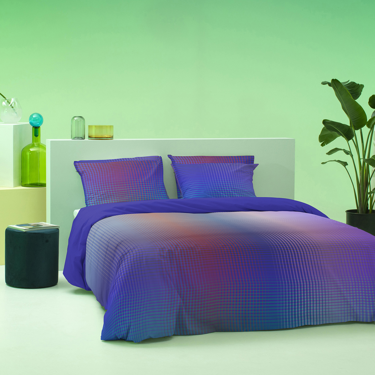 Damai Rainbow Violet